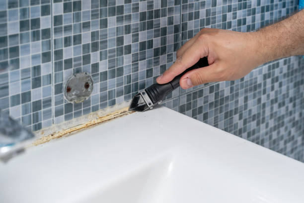 Best Mold Inspection  in Sumner, WA